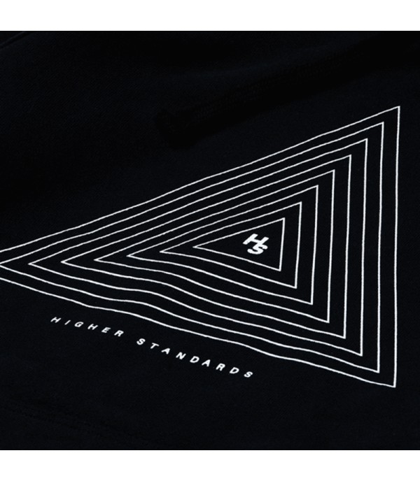 Higher Standards Hoodie - Concentric Triangle