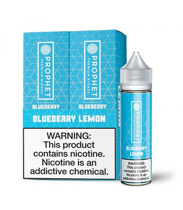 Prophet Premium Blueberry Lemon 2x 60ml Vape Juice